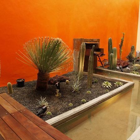 מקסיקו סיטי Coyoacan - Inn מראה חיצוני תמונה