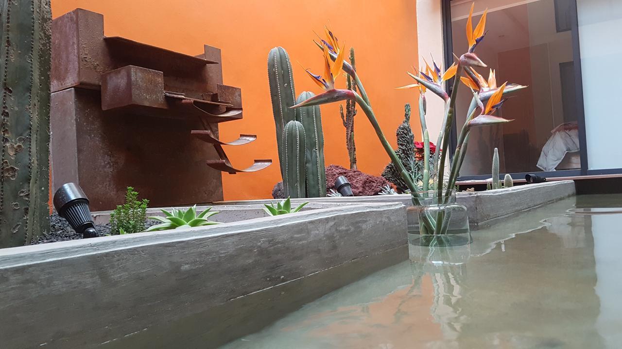 מקסיקו סיטי Coyoacan - Inn מראה חיצוני תמונה